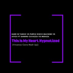 Hard In Tango Vs Purple Disco Machine Vs Avicii ft Sandro Cavazza Vs Meduza (Vincenzo Caira Mash Up)