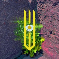 CRWTH - CURFEW | Remix