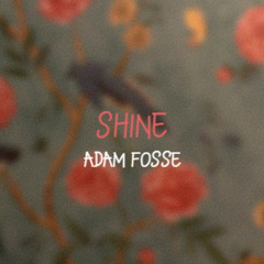 SHINE
