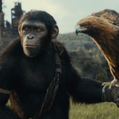 KINGDOM OF THE PLANET OF THE APES (PETER CANAVESE) CELLULOID DREAMS (SCREEN SCENE) 5/16/24