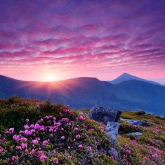 Pink Flower Mountain