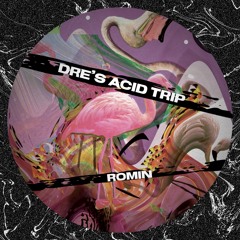 Romin - Dre's Acid Trip
