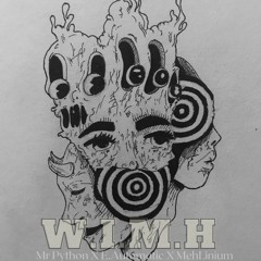 Mr Python (W.I.M.H) WAR IN MY HEAD X E.Automatic X MehLinium