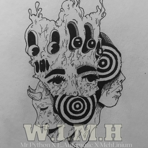 Mr Python (W.I.M.H) WAR IN MY HEAD X E.Automatic X MehLinium