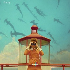 Fortune Flow - Frenzy