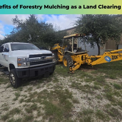 Stream The Benefits Of Forestry Mulching As A Land Clearing Method by ...