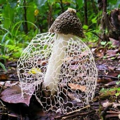 busta rhymes x super mario bros - dangerous bros (junsei mix)