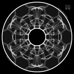 Augvstus & Mikmoog - The Thin Wires System [DG032]