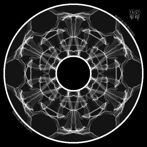 Augvstus & Mikmoog - The Thin Wires System [DG032]