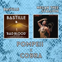Bastille + Megan Thee Stallion - POMPEII X COBRA (Warm Advice Mashup)