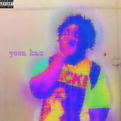 yeen kno (devoninco)