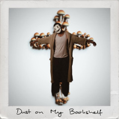 Dust on My Bookshelf