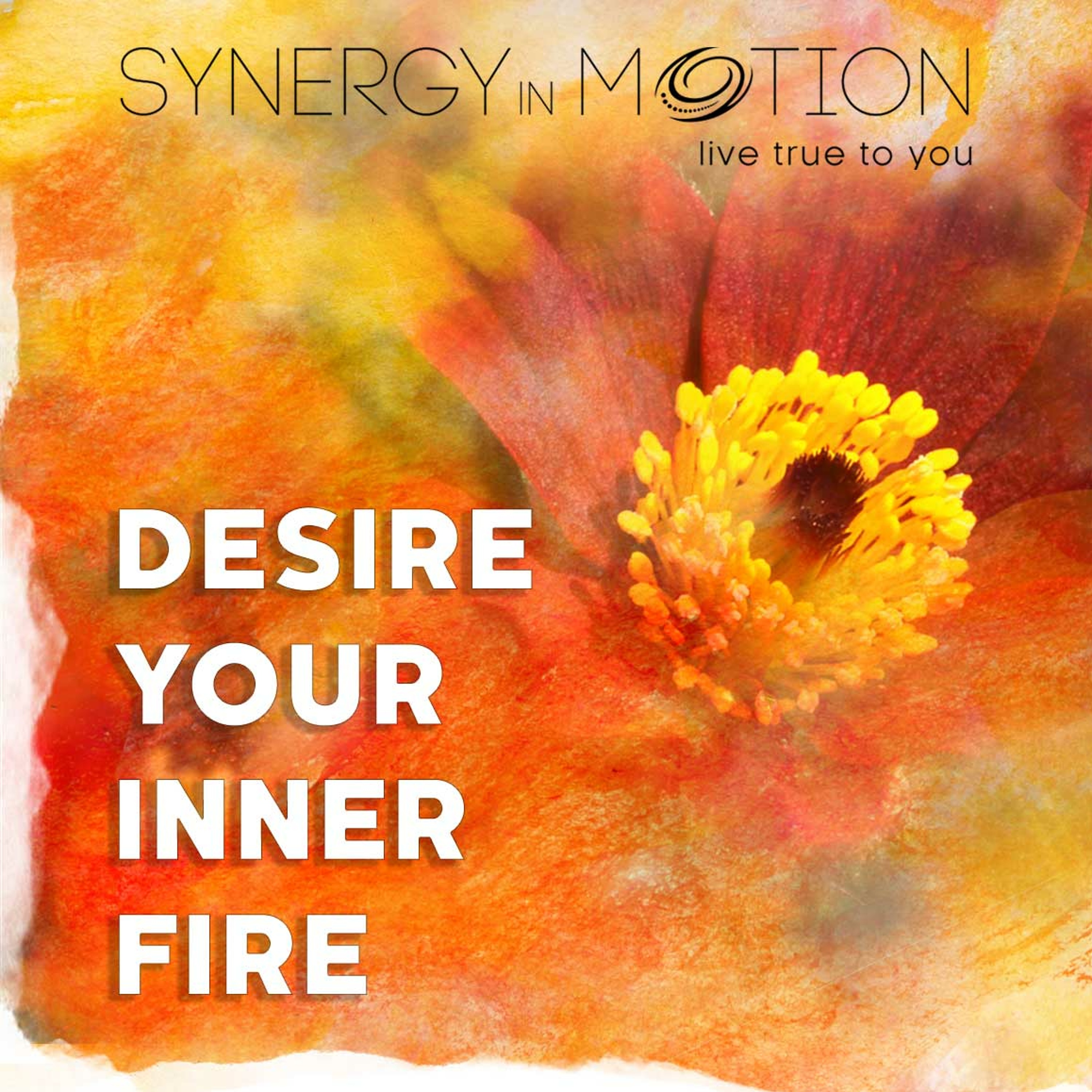 Desire Your Inner Fire ~ Hexagram 30 episode artwork