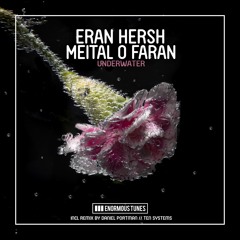 Eran Hersh - Underwater (Daniel Portman Remix)