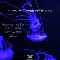 Floor Of The Sea