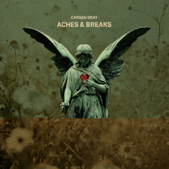 Aches and Breaks