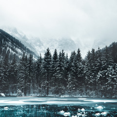 Winter Froze  (prod. Pietsbeats x prod. bjc)