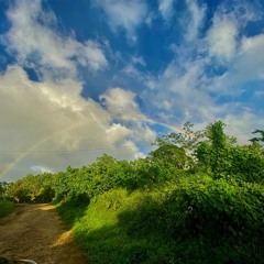 Mwoakid In Limpoak Wet By Ray Steven & Sed---
