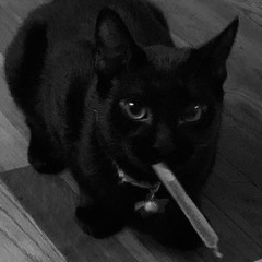 ItzNightmareXz - Bad Cat Acid Rave