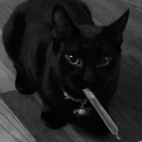ItzNightmareXz - Bad Cat Acid Rave