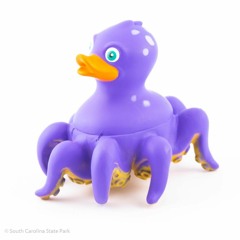 Squeeky Toy - Scott Moon