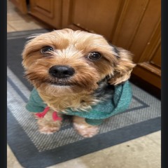 @spellscasted sendy prod dluxx