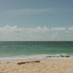 A Beach Nowhere To Be Found (4-N163 + FDS)