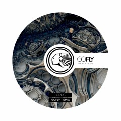 Eric Prydz - Opus (GOFLY Remix)