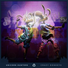 PREMIERE: Unicorn Hunters - Wonder [Techgnosis Records]