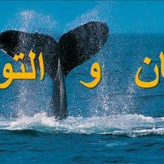 يونان و التوبة | كنيسة باسادينا الإنجيلية | ق. ماهر مقار