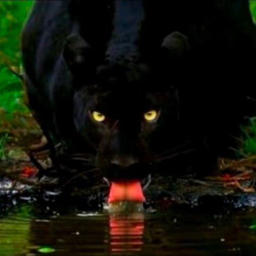 Nice and Slow X B.E.D.