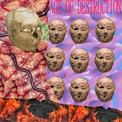 Age of Destruction
