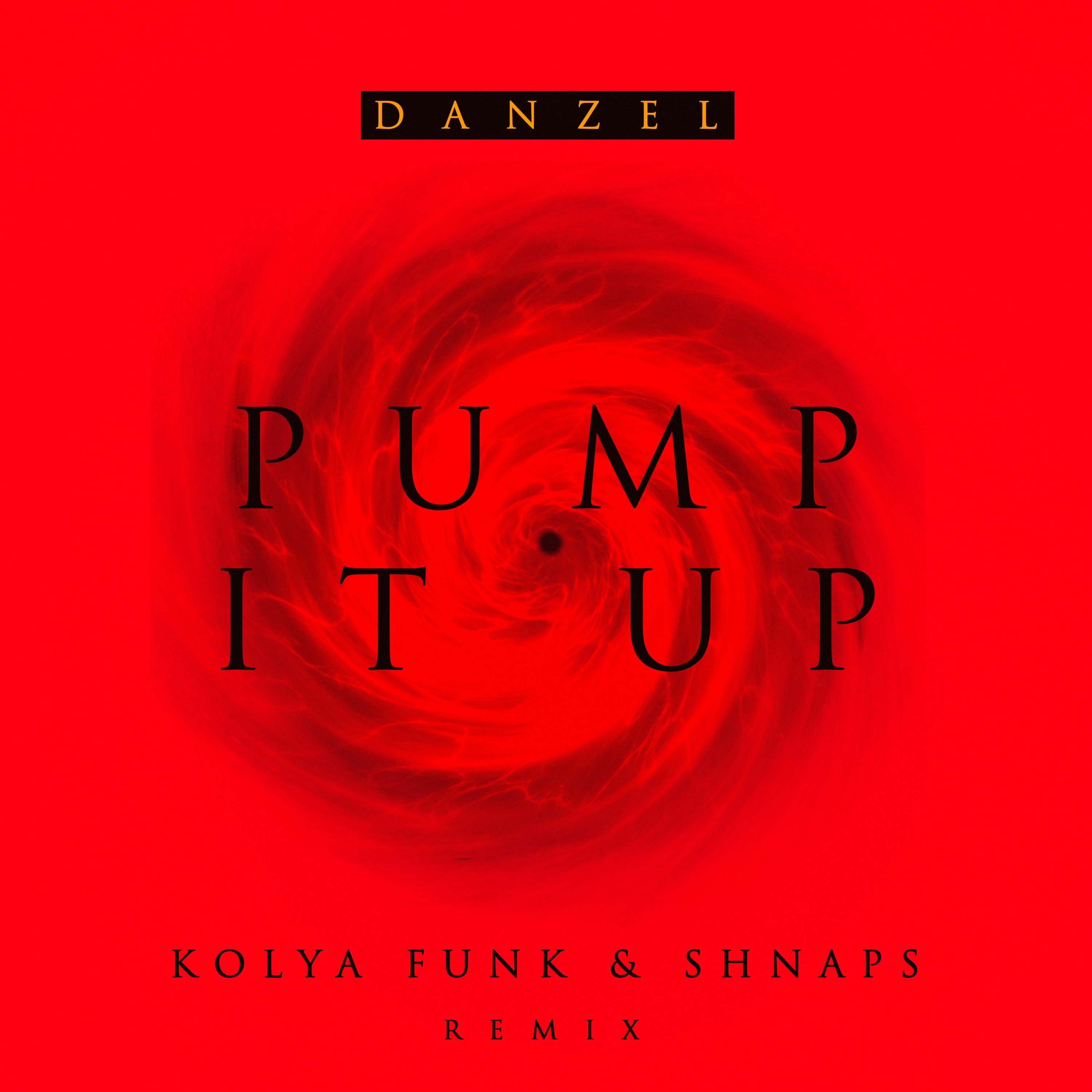 Danzel - Pump It Up (Kolya Funk & Shnaps Remix)