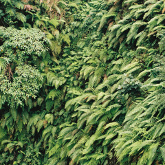 Fritz Berger - SessionSeries #001