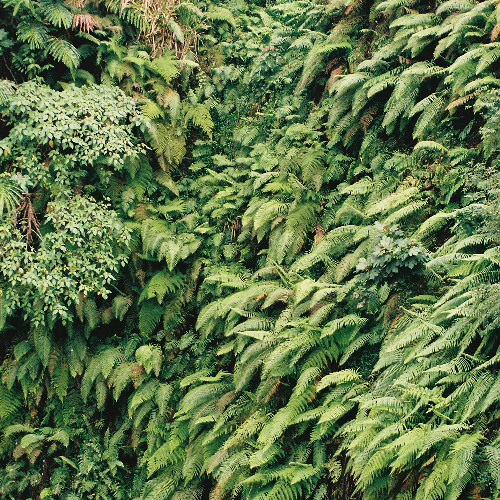 Fritz Berger - SessionSeries #001