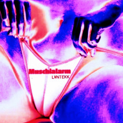 MUSCHIALARM LYNTEKK REMIX
