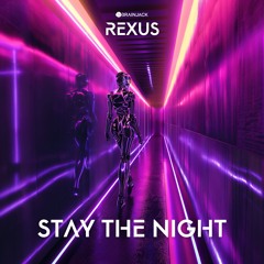 Rexus - Stay The Night [Extended]