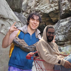 CHICKENS BE CLUCKIN'