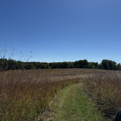 Phantom of The Isthmus Radio Show #081