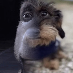 jugg estranho (@sanixd)