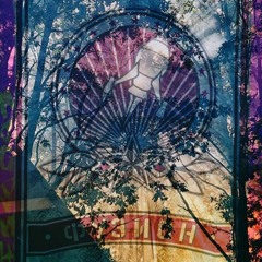 Lola Villa Fusion 2022 Bachstelzen Velvet Soup - sunrise set