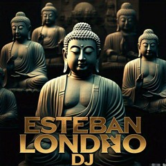 THE DIMENSION OF RESTRICTED SOUNDS 1.0