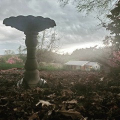 Apparition