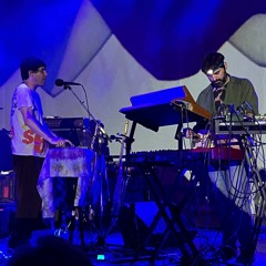 Animal Collective - In The Flowers (Live in Pittsburgh)