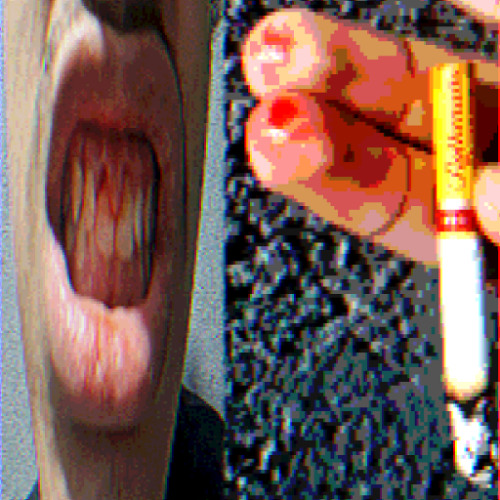 CARBUREI #VOCÊ KKKKKKKKKKK #NORMIESGETOUT #NORMIESGETTHEFUCKINGOUT #KILLNAZI