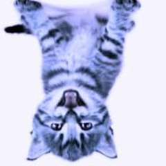 dj tutek- greasy night mix