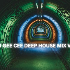 DEEP HOUSE MIX VOL 71