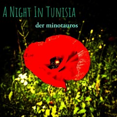 A Night In Tunisia (Trumpet Cover Version)
