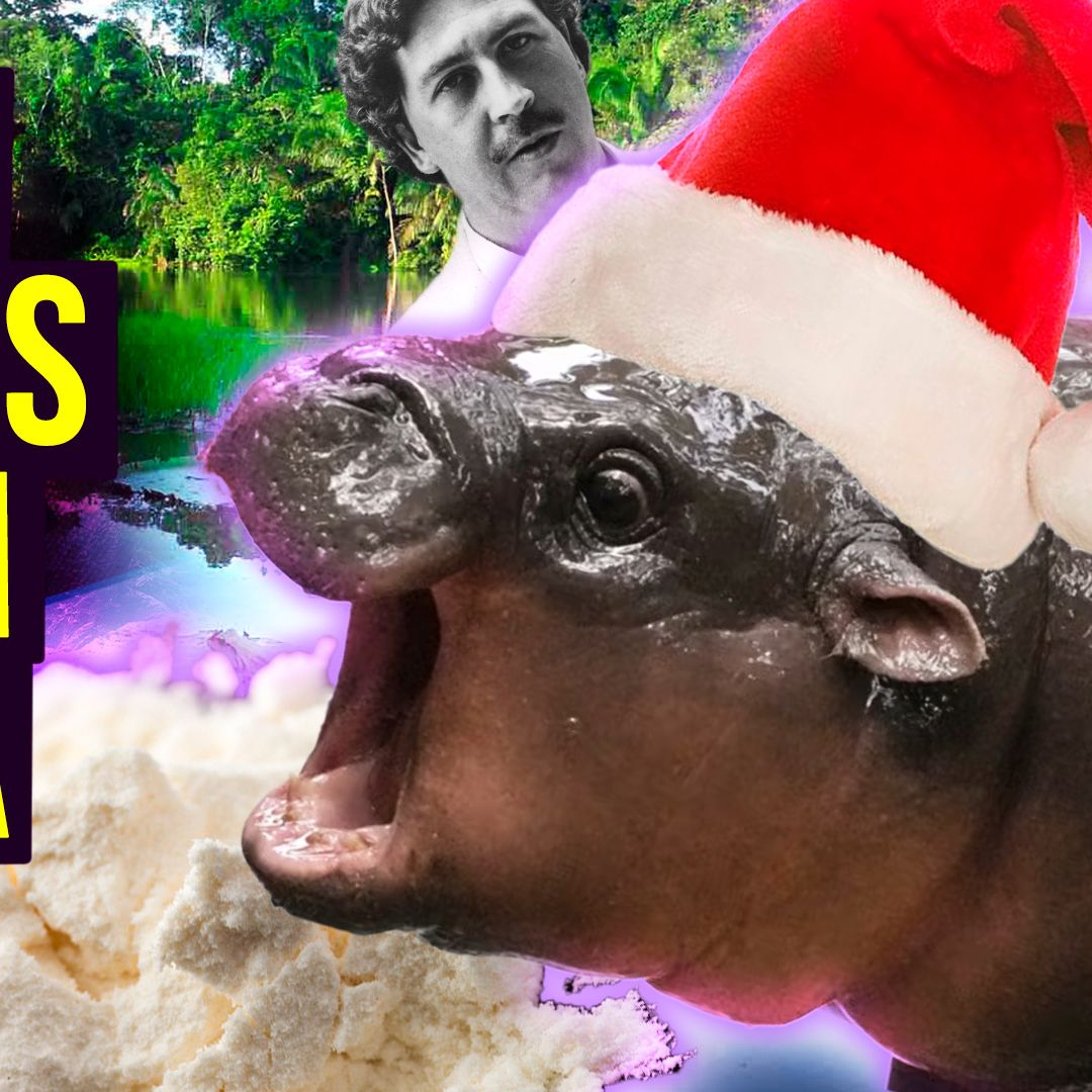 Christmas Pre-Record | Colombia's Cocaine Hippo Problem