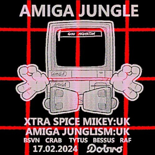 XTRA SPICE MIKEY: Dobro club: Wroclaw PL: Amiga dj set